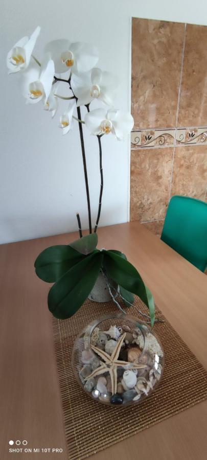 Apartments Tara Ulcinj Ngoại thất bức ảnh